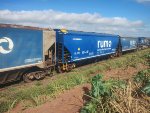 RUMO HTT-352296-2